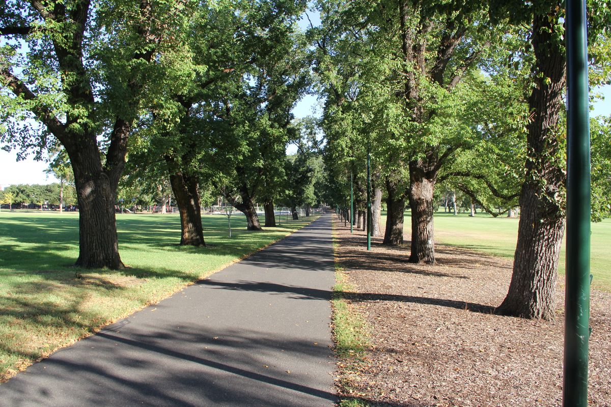 South Yarra Fawkner Park